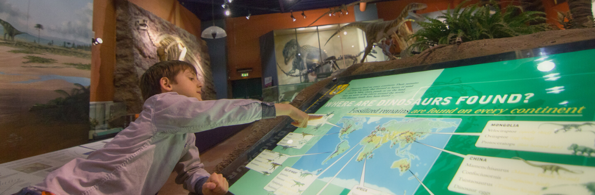 Isle of Wight Dinosaur Museum